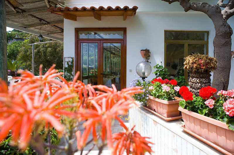 Hotel Villa Franz Sant'Angelo  Εξωτερικό φωτογραφία